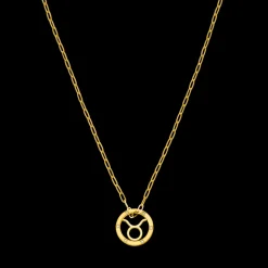 Taurus Zodiac Symbol Necklace