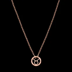 Taurus Zodiac Symbol Necklace