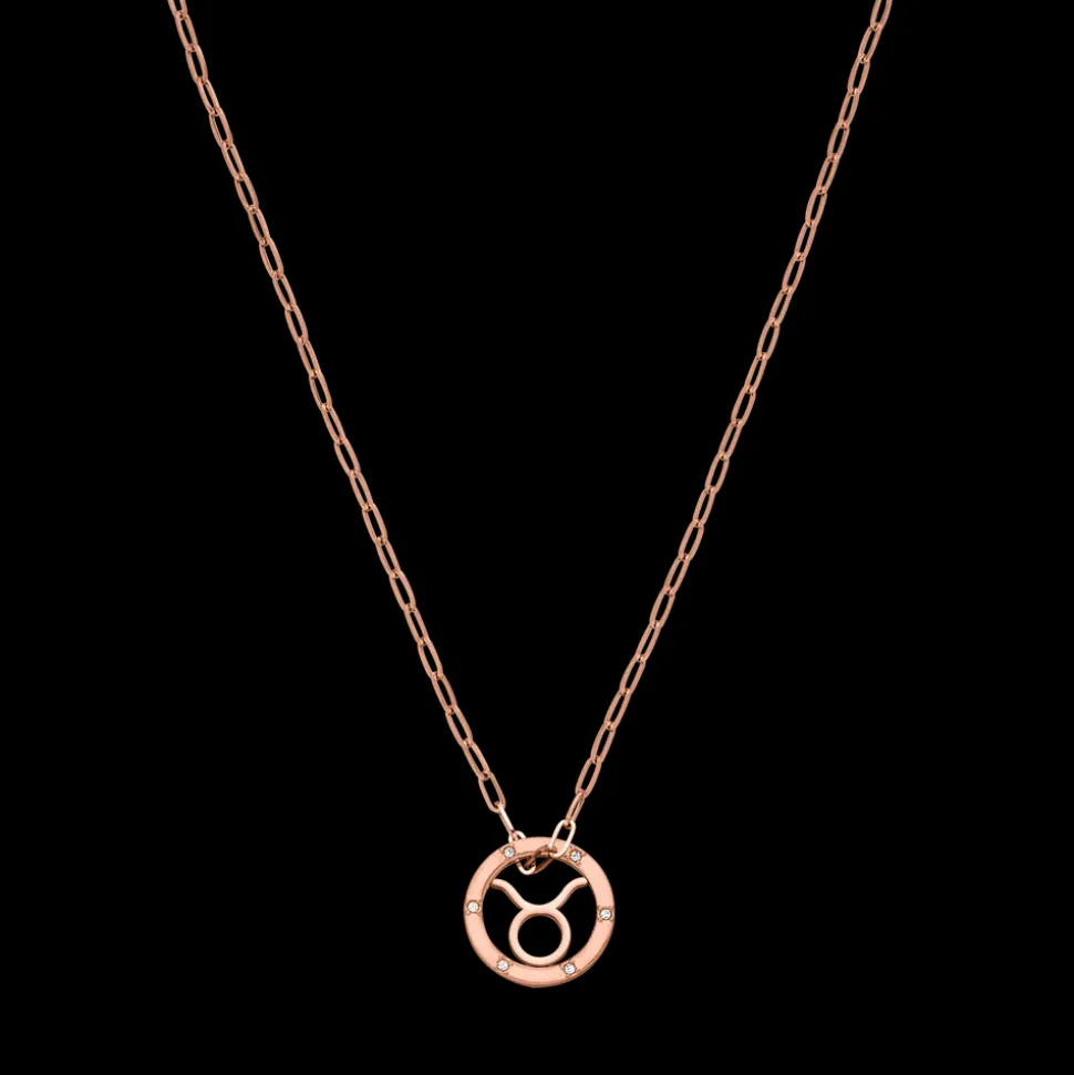 Taurus Zodiac Symbol Necklace