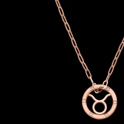Taurus Zodiac Symbol Necklace