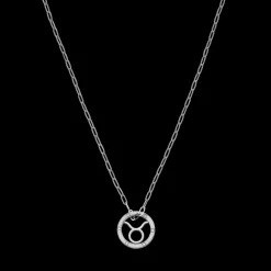 Taurus Zodiac Symbol Necklace