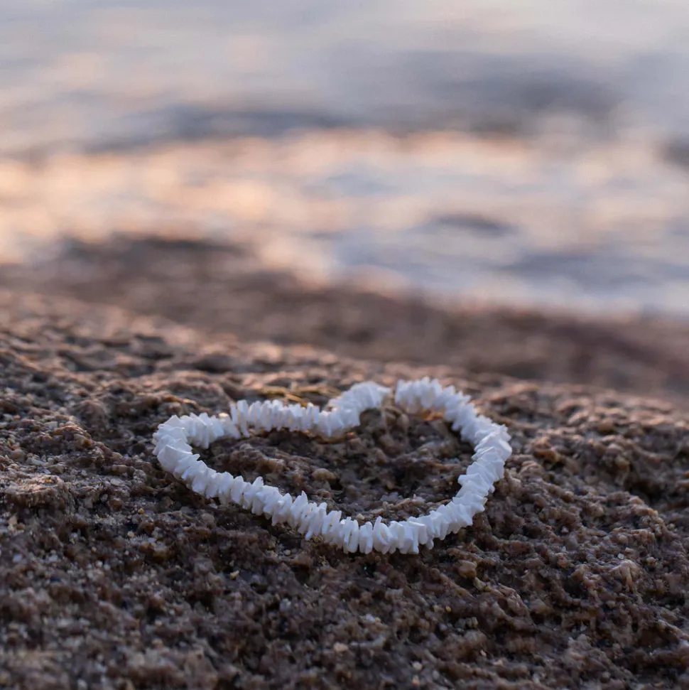 White Shell Necklace