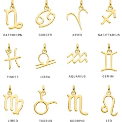 Zodiac Charm Capricorn